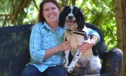 Can dogs sniff out COVID-19? Veterinarian researchers using eight labrador retrievers to find out.