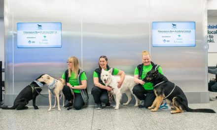 Airports in Helsinki and Dubai use dogs to detect COVID-19