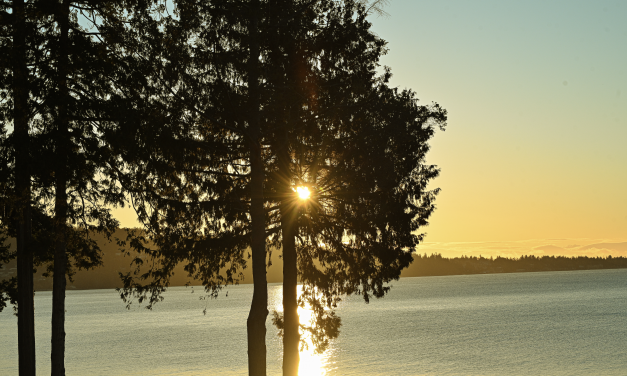 Study challenges assumptions that warmer weather drives COVID-19 cases down. Sunshine is another story.